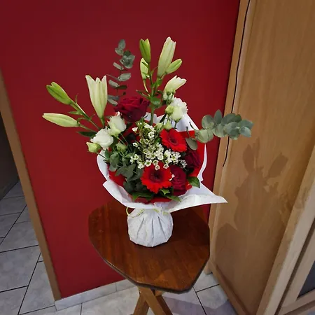 Nuit Blanche Normandie Love hotel Eu (Senna Marittima)